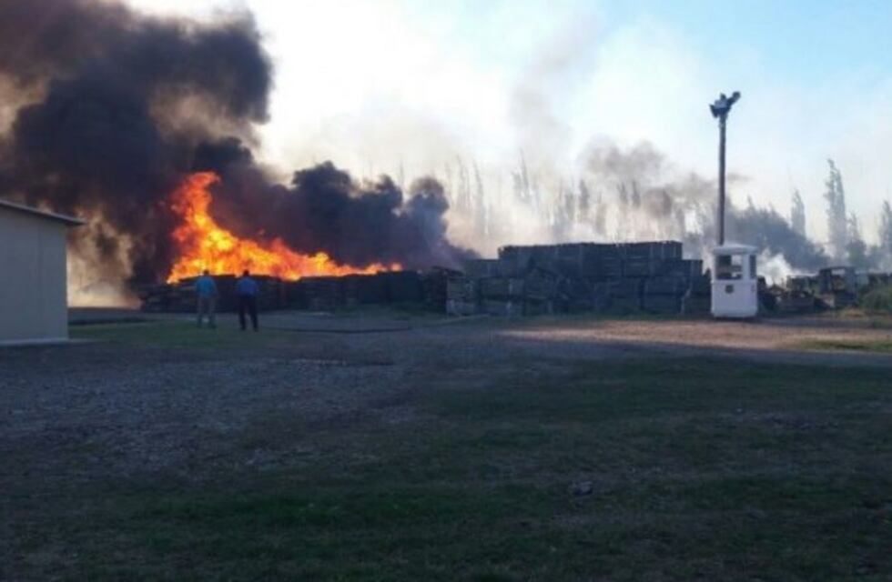 Incendio en un establecimiento olivícola y maicero en San Rafael
