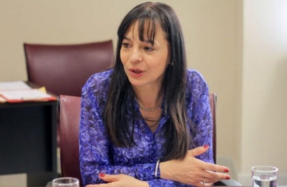 Du Plessis, sobre la ausencia de vicegobernadores en la boleta electrónica: "Las elecciones no se ganan o pierden por una foto"