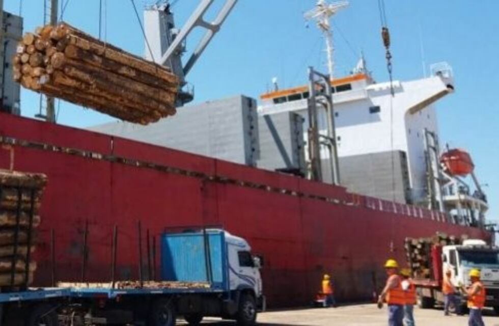 Entre Ríos retoma la exportación de madera desde China