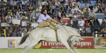 Denuncia penal contra el Festival de Jesús María por el sacrificio de un caballo