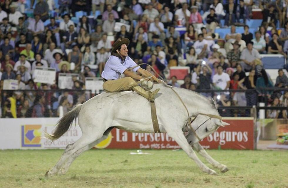 Denuncia penal contra el Festival de Jesús María por el sacrificio de un caballo