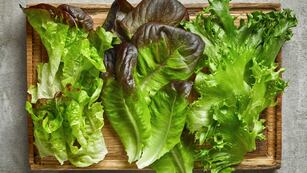 ¿Cuáles son las verduras de hoja verde más nutritivas?