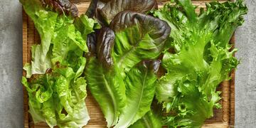 ¿Cuáles son las verduras de hoja verde más nutritivas?