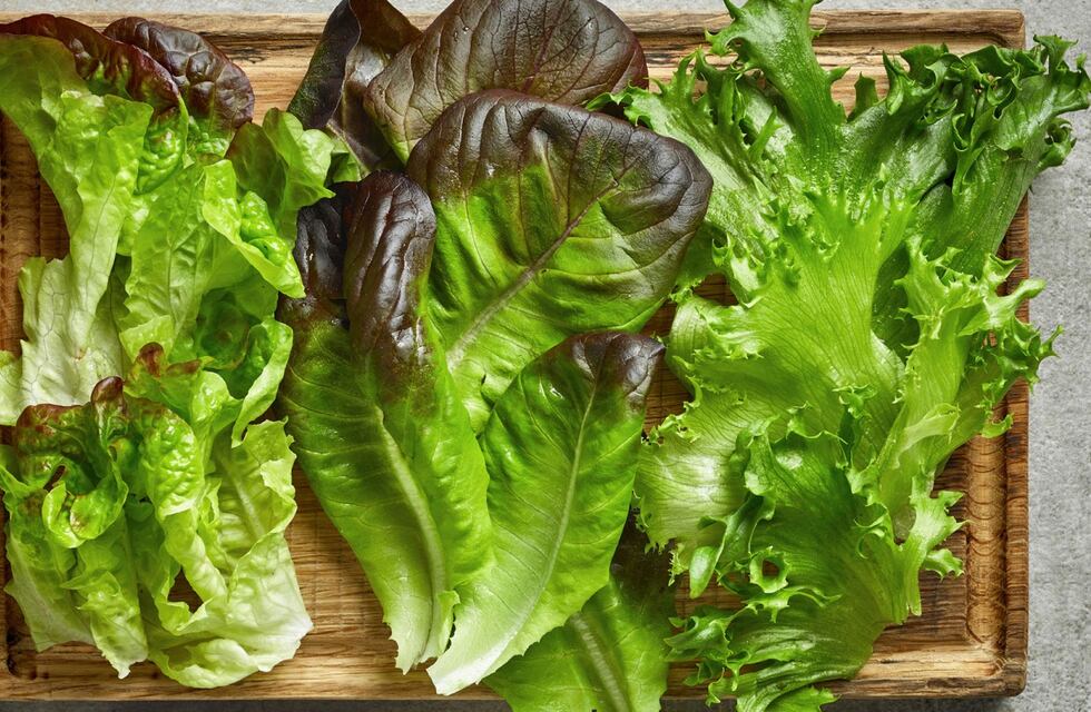 Decile que sí al verde: cinco verduras de hoja fundamentales para sumar a tu alimentación