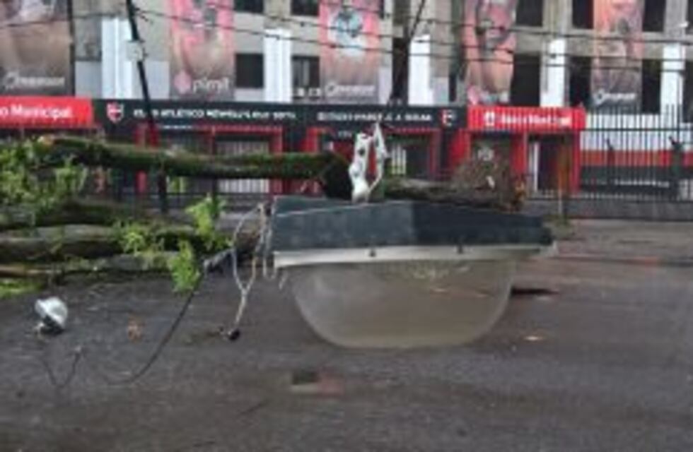 La Municipalidad trabaja sobre 70 denuncias por caídas de árboles y ramas durante el temporal