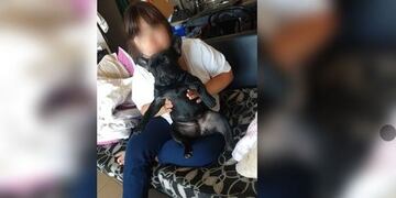 Robaron la perrita de una niña con síndrome de down: ofrecen recompensa (Foto: 0223)