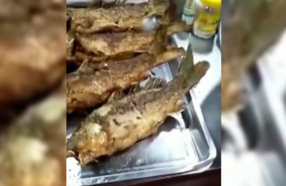 El pescado frito que todavía se mueve en el plato