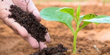 Curso a distancia de Buenas Prácticas Agrícolas para la Producción de Frutas y Hortalizas Frescas\u002E