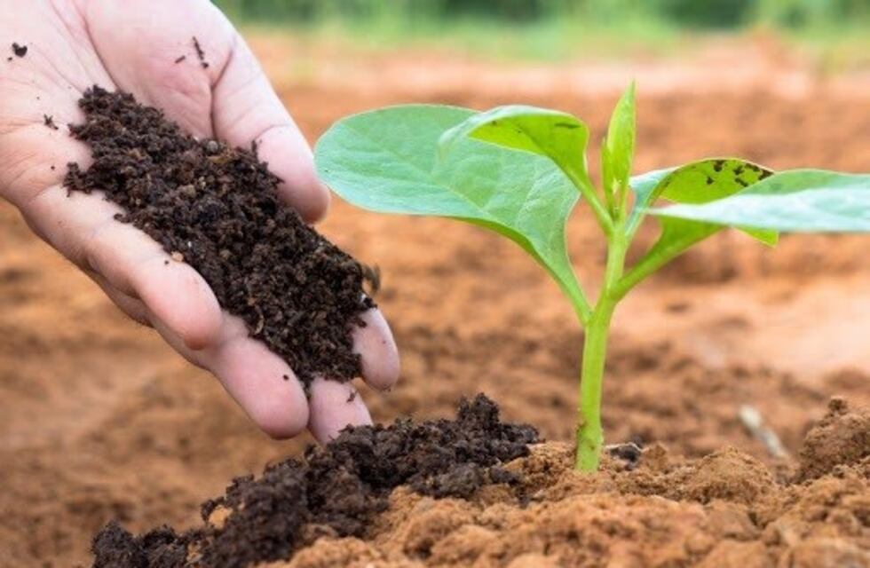 Mendocinos podrán hacer el curso de "Buenas Prácticas Agrícolas"