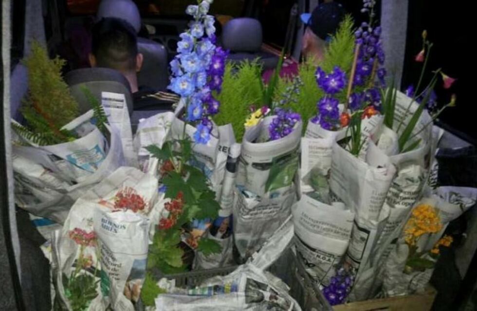 Detuvieron en General Rojo a cinco vendedores ambulantes con plantines