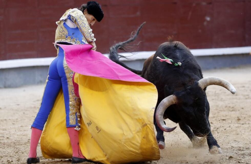 La terrible cornada de 30 centímetros que recibió un torero en España