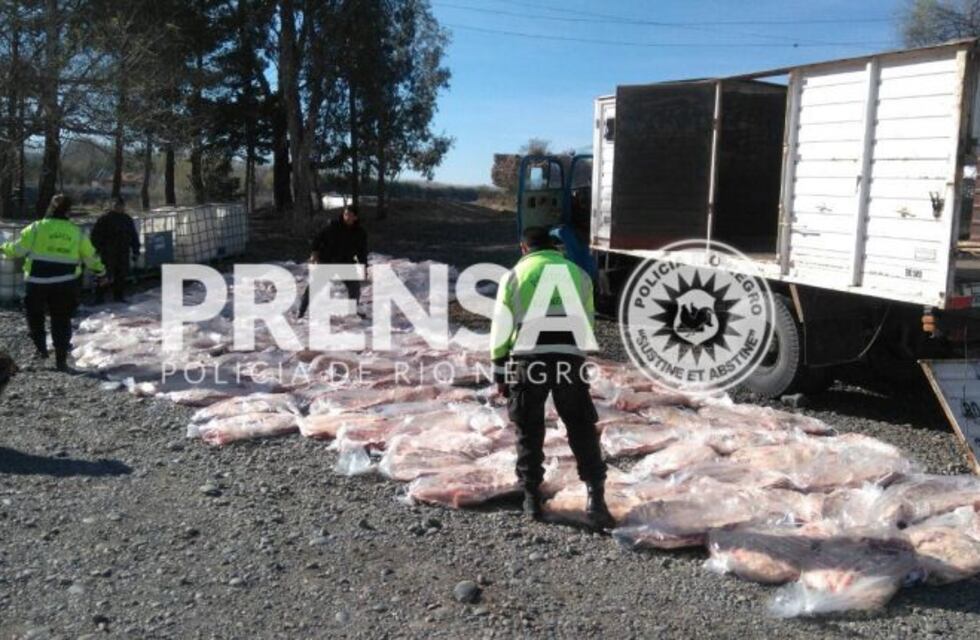 Más de dos toneladas de carne vacuna fue decomisada en puesto de control
