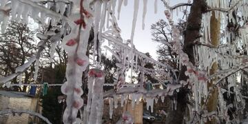 Las heladas afectaron las plantaciones de durazno, ciruelo, almendros y cerezos\u002E