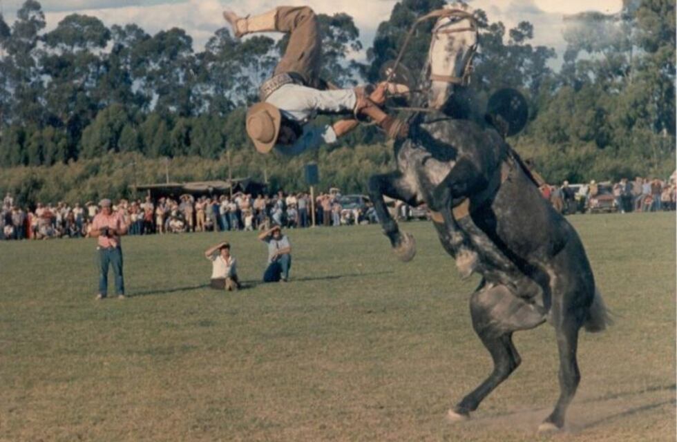 Colorinches Tresarroyenses: El Invicto