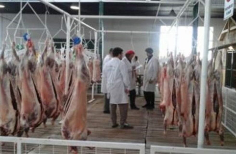 Fiesta Provincial del Cordero : ventas estuvieron bajas comparadas con año anterior