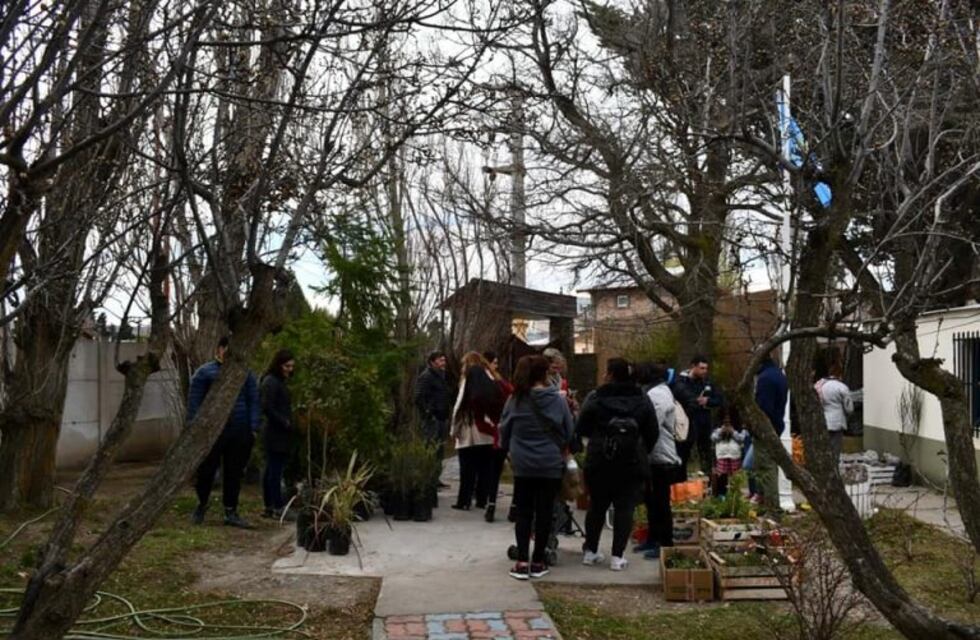 Ciclo de Charlas participativas sobre jardinería