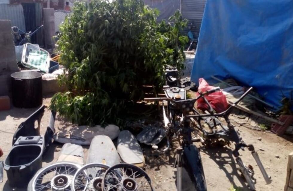 Allanamiento en Bahía Blanca: secuestraron droga y motopartes robadas
