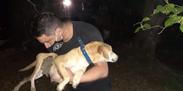 Bomberos rescatan a un perrito que había quedado atrapado en un desagüe (Policía de Santa Fe)