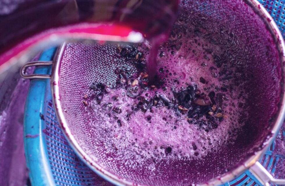 Banco de Vinos: el Gobierno ya envió el proyecto de ley