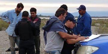 Los animales ya faenados\u002E