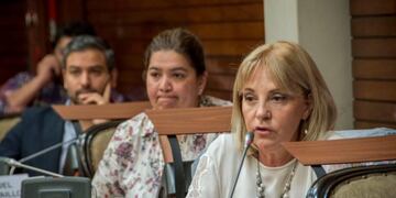 La diputada del PJ jujeño Liliana Fellner criticó duramente las políticas de ajuste del gobierno nacional