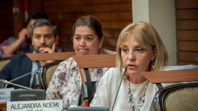 La diputada del PJ jujeño Liliana Fellner criticó duramente las políticas de ajuste del gobierno nacional