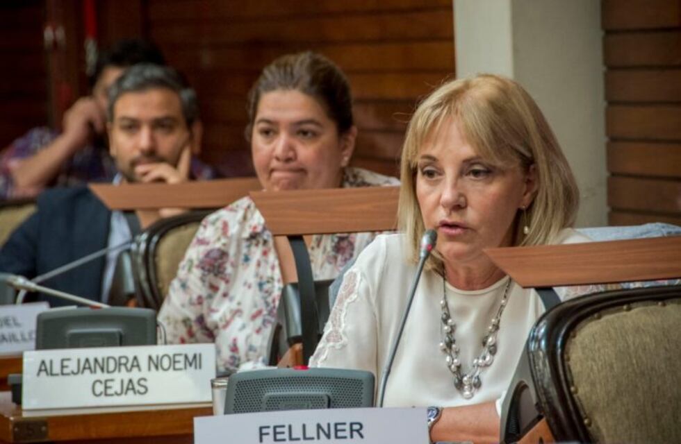 La diputada Fellner dijo que las políticas implementadas por Macri "profundizan la pobreza"