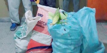 Robo de choclos en Rosario de Lerma (Prensa Policía)