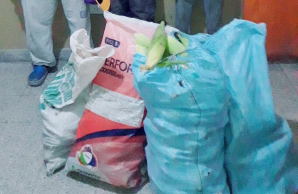 Sorprendieron a cinco hombres robando choclos de una finca