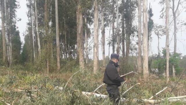 La tragedia ocurrió en un campo de Garuhapé\u002E