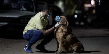 (Foto: Omar Zoheiry/DPA)