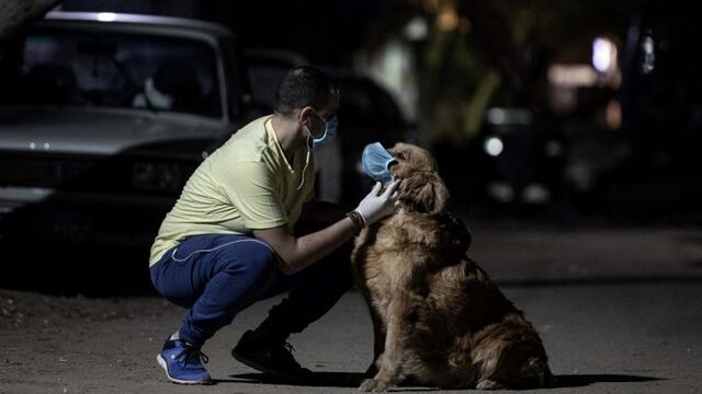 (Foto: Omar Zoheiry/DPA)