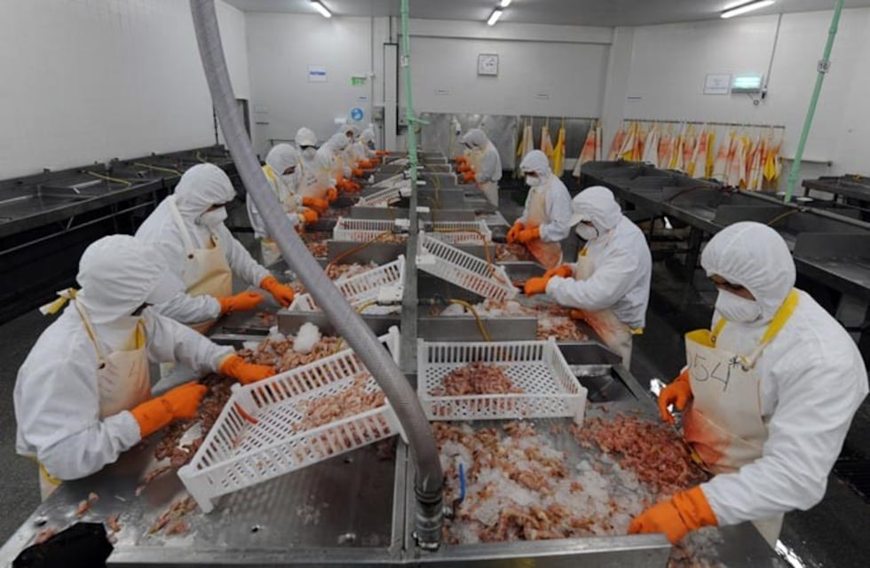 Rawson: se inspeccionaron las condiciones laborales en pesquera