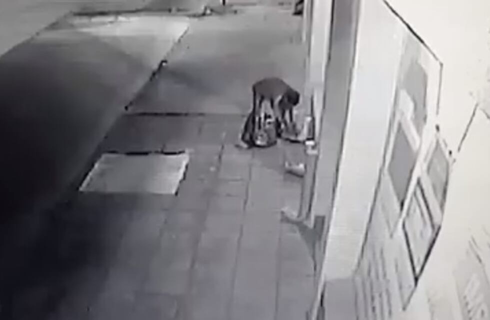 No se salvan ni los perros: lo filmaron mientras robaba alimento balanceado a callejeros