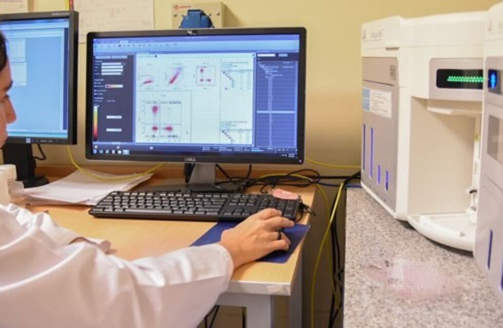 Avance contra el cáncer: crean plataforma para atacar células malignas