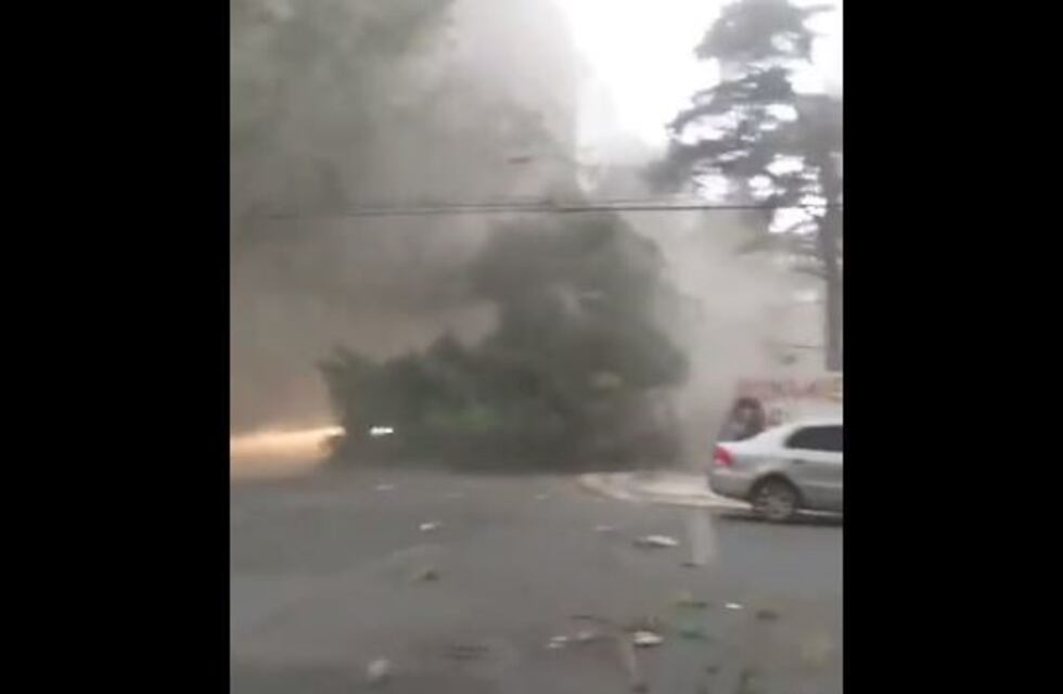 Un fuerte temporal azotó a la ciudad de Mar de Plata