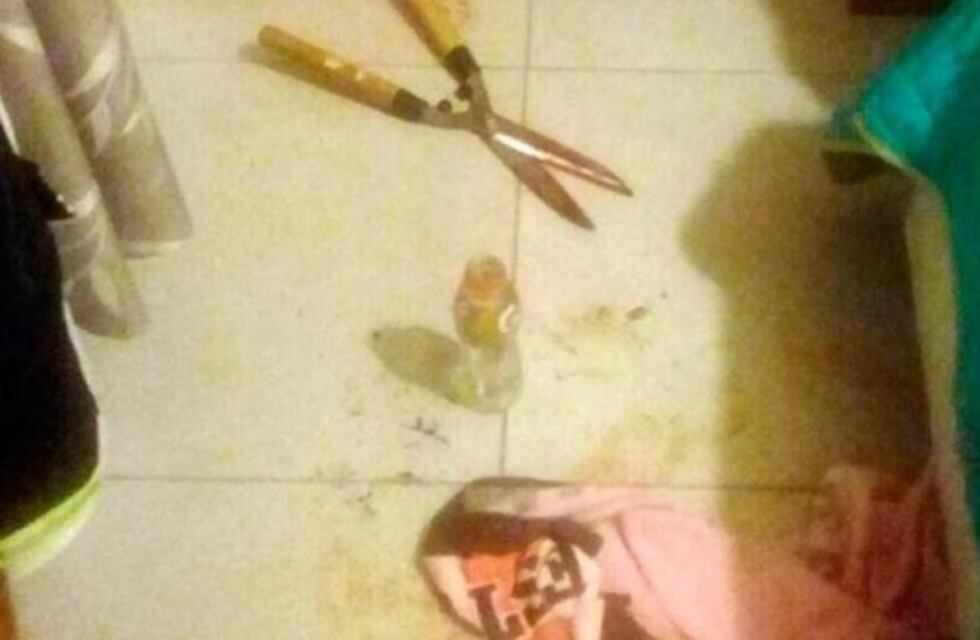 La joven que mutiló a un hombre en Nueva Córdoba es imputable