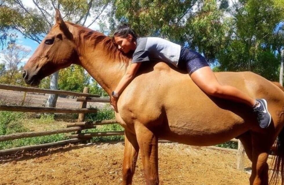 Les robaron el caballo y lo encontraron descuartizado