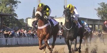 Suspendieron en La Plata a un entrenador de caballos por darle cocaína al animal