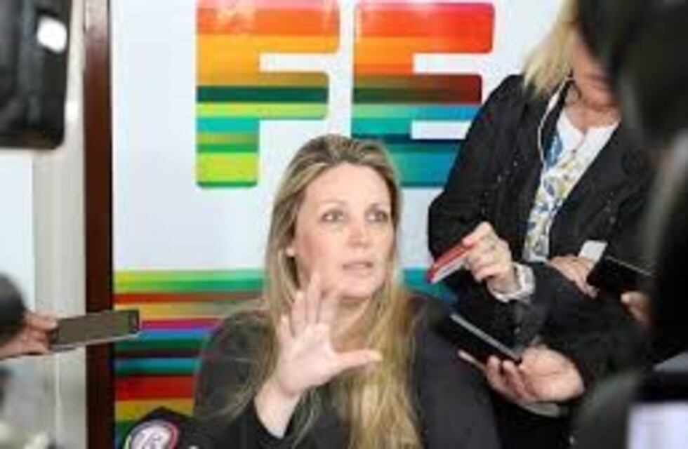 Para Geese el proyecto de emergencia tarifaria presentado por ediles es "meramente declarativo"