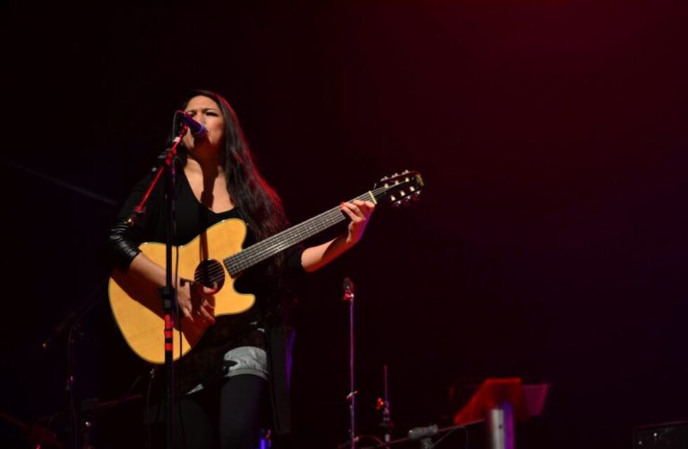 Roban guitarra a artista fueguina Cosquín