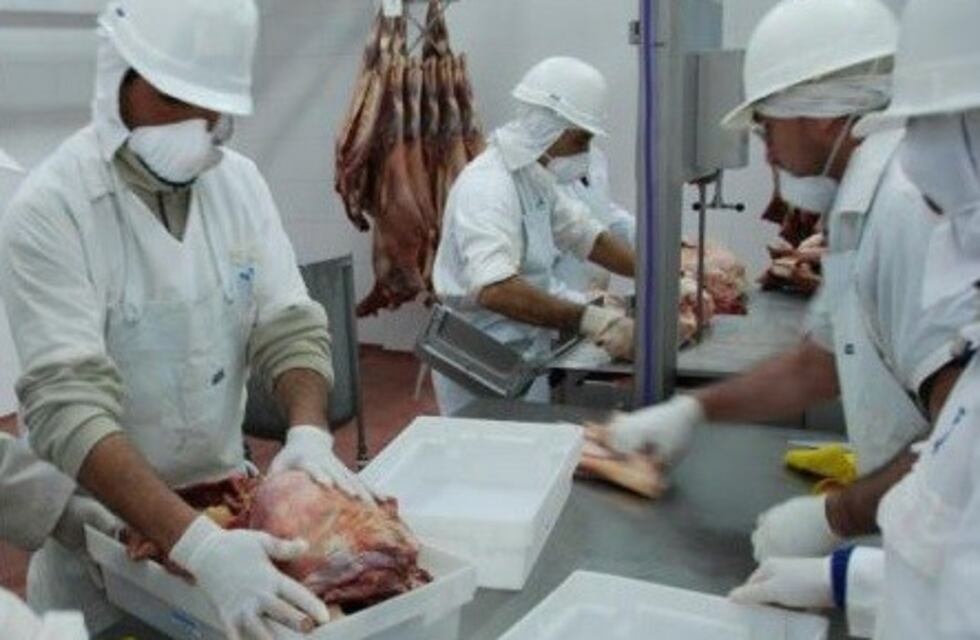 San Juan ahorrará $2.000 millones con la nueva planta de faena