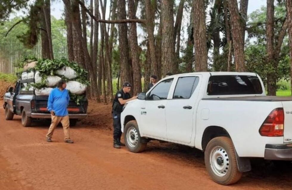 El Inym y la policía controlan el transporte de yerba tras robos