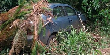Recuperan un auto robado en una zona de monte en San Vicente.