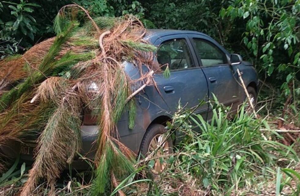 Recuperan un auto robado en una zona de monte en San Vicente