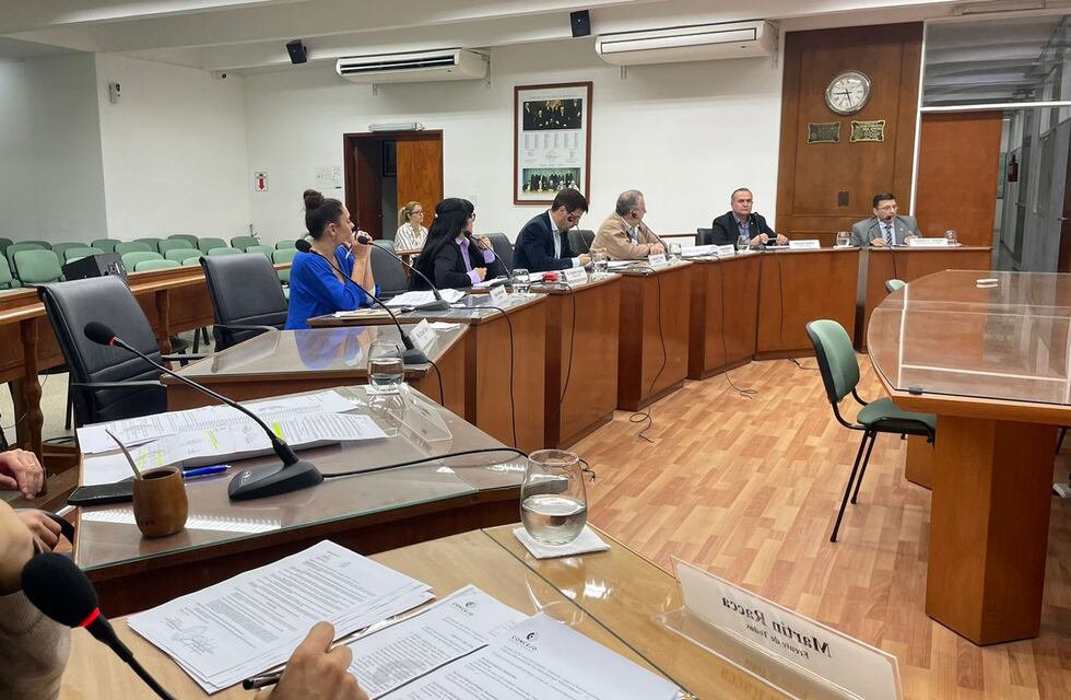 Nadie asumirá en reemplazo de Brenda Vimo