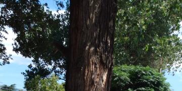 Balneario Los Cedros