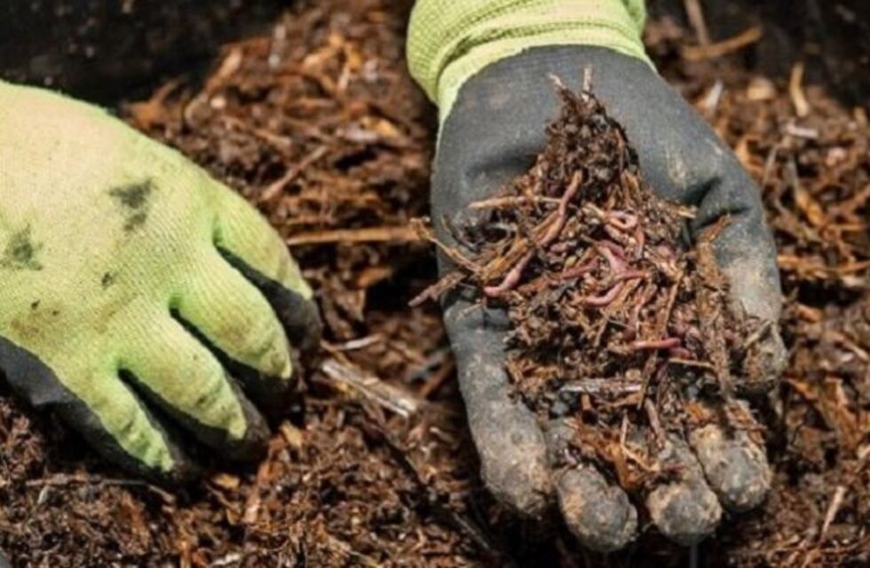 Capacitación virtual de compostaje y lombricultura