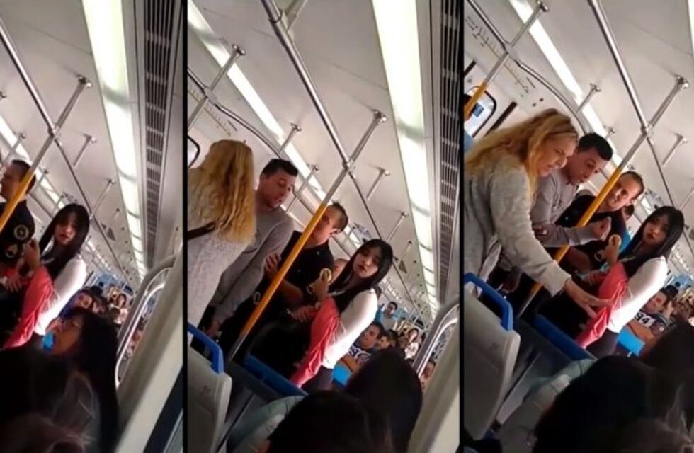 Fuerte pelea en el Tren Sarmiento porque una pasajera pateó a un perro herido