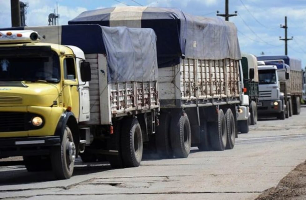 La embargaron por 500 mil pesos tras ingresar a San Luis escondida en un camión